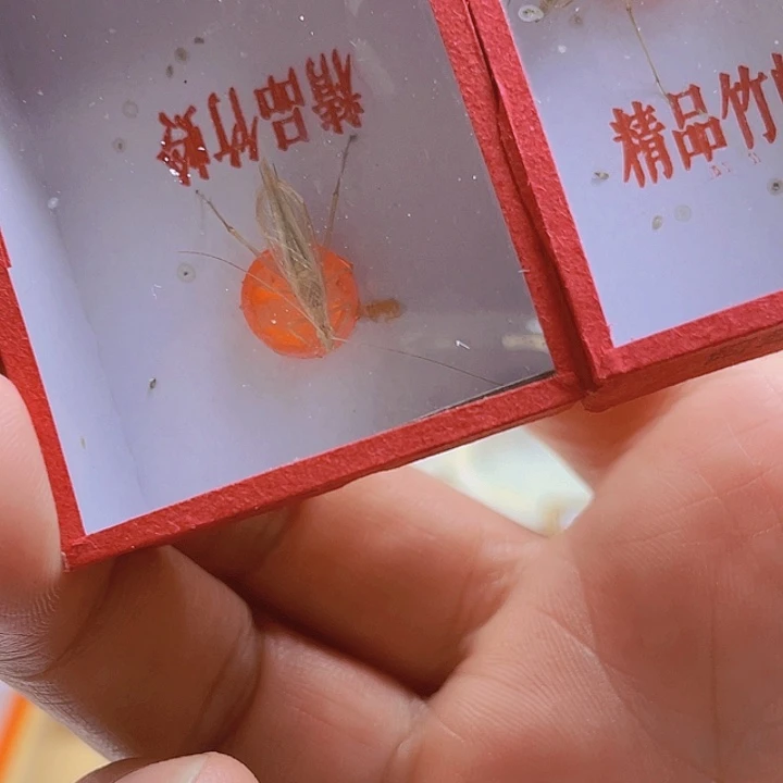 郑***奇黑金2啊啊啊啊啊啊啊