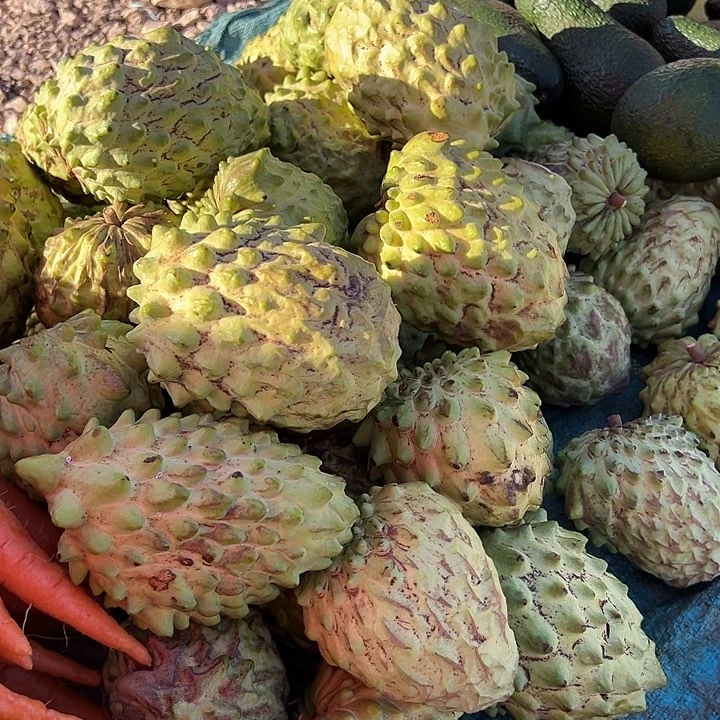 中国大陆释迦果5斤