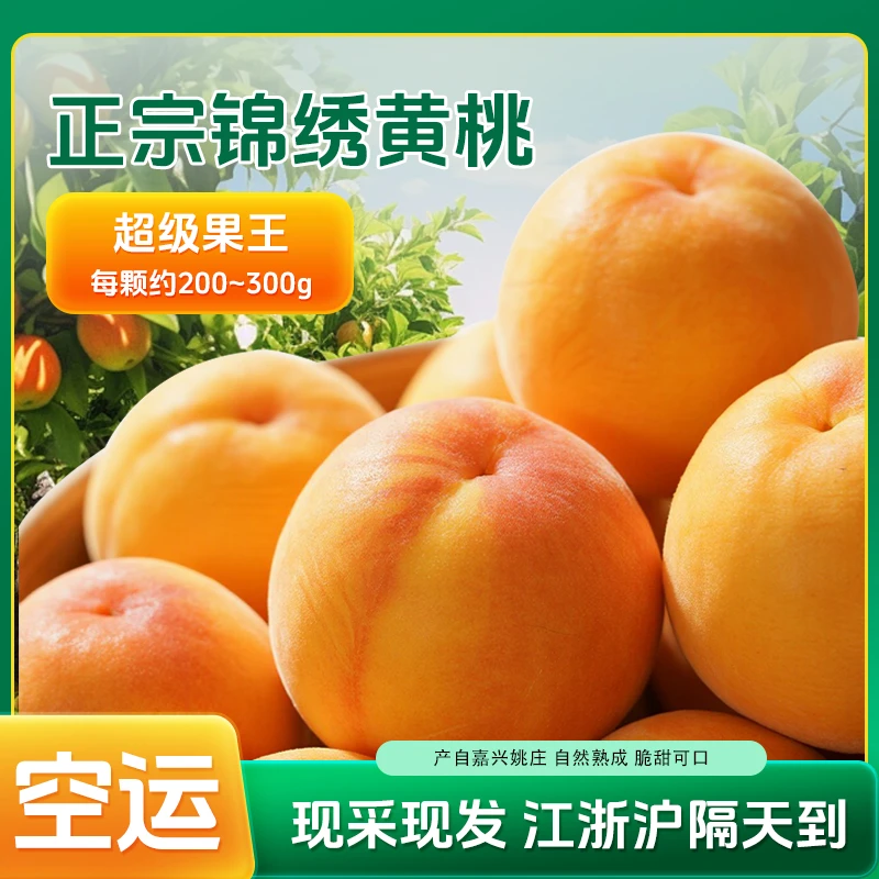 【空运送到家】嘉善姚庄新鲜锦绣大黄桃应季水果爆甜现摘现发次日达