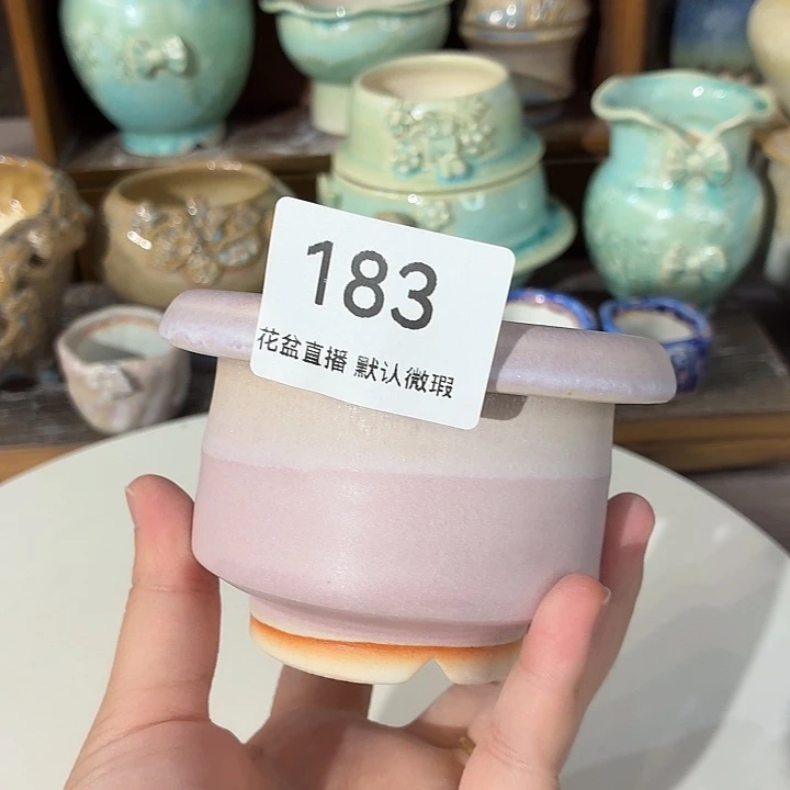 花盆花盆花盆花盆
