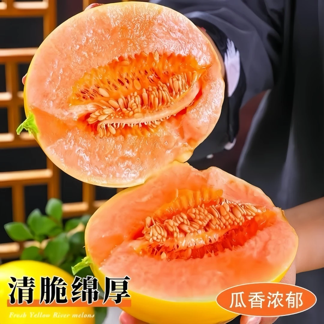 正宗民勤蜜瓜新鲜当季水果清甜多汁黄河蜜甜瓜产地水果当季热卖