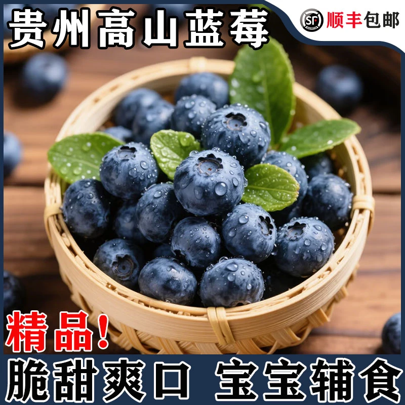 【顺丰冷链】贵州高山蓝莓鲜果产地直发当季新鲜酸甜水果饱满特大果