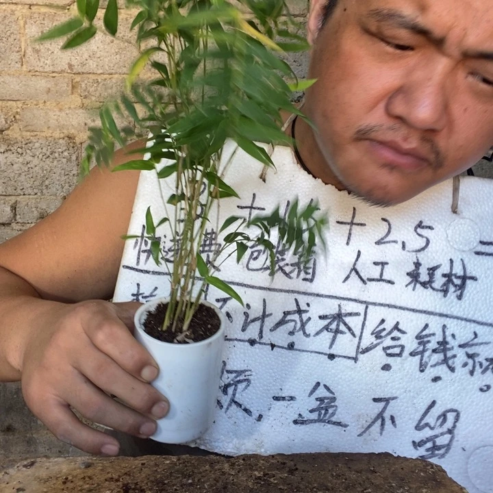 退款拉黑一物一拍237