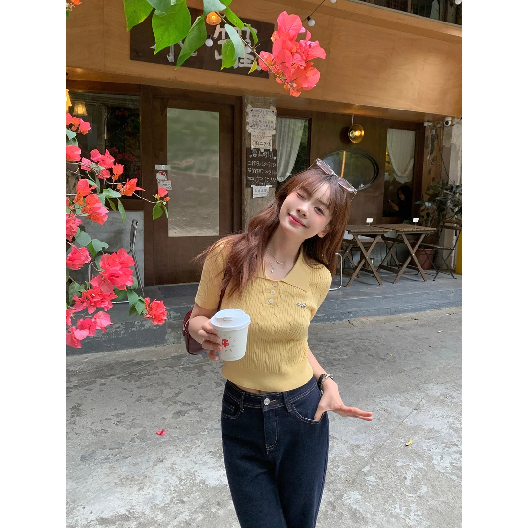 自制【薄盐芝士】小个子春季气质短袖小众女时尚通勤百搭针织衫