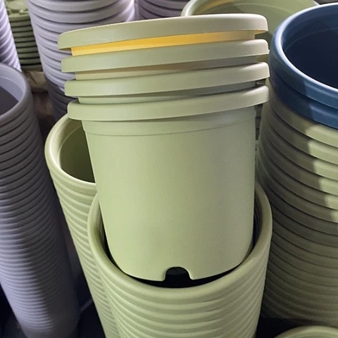 树脂四季2号12个无托果绿