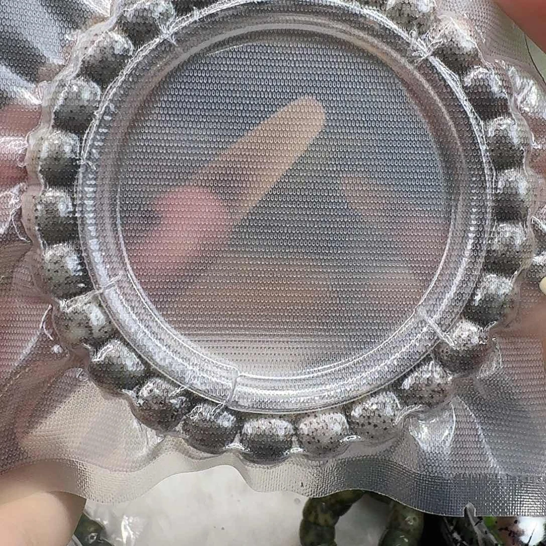 星月菩提手串22练手糯冰石玉98