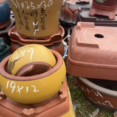 红陶紫砂花盆盆景盆栽