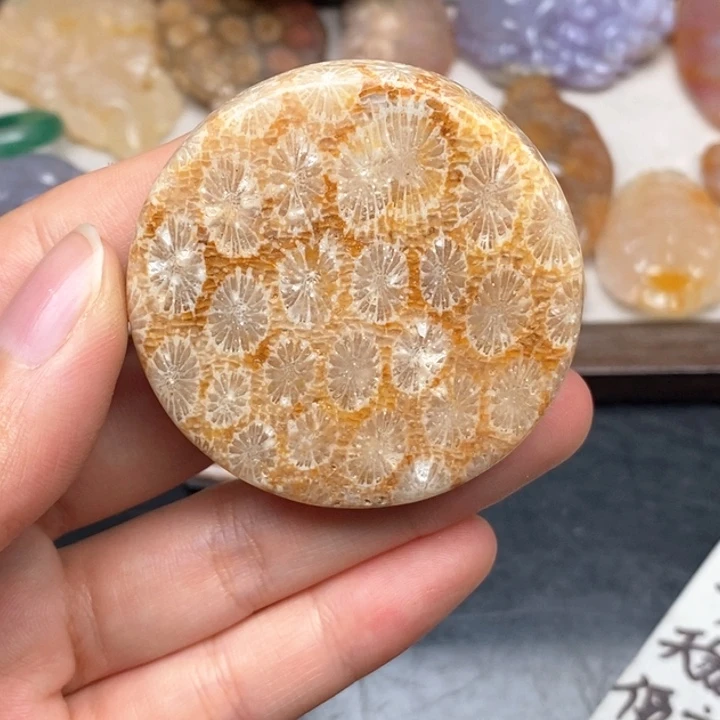 硅化珊瑚（珊瑚玉）手镯未镶嵌