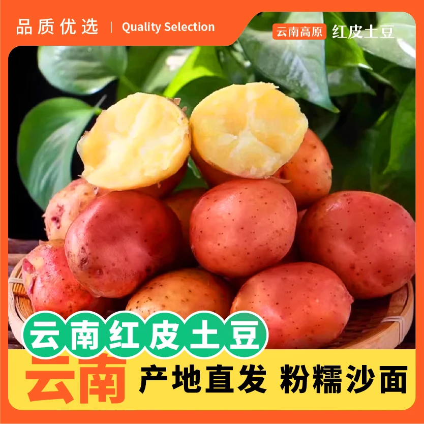 【9-10斤】云南红皮黄心土豆 农家自种 新鲜现挖  粉糯当季新土豆P