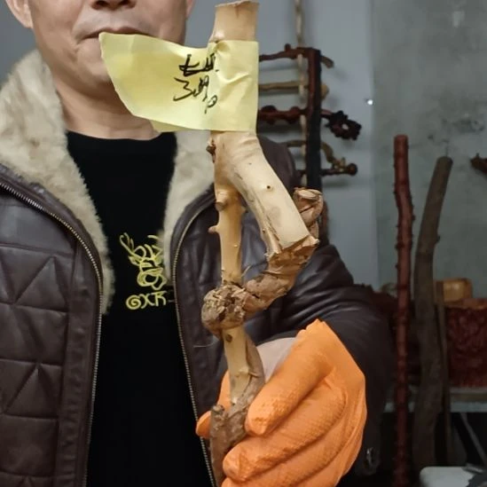 3***9香榧木高山 檬子木文玩料
