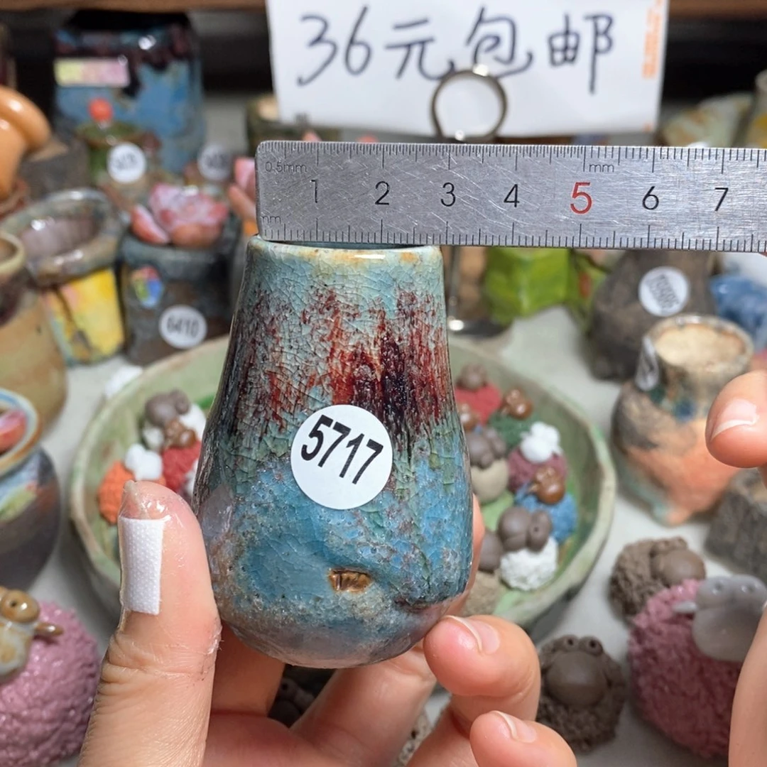 拍5送一个小礼物