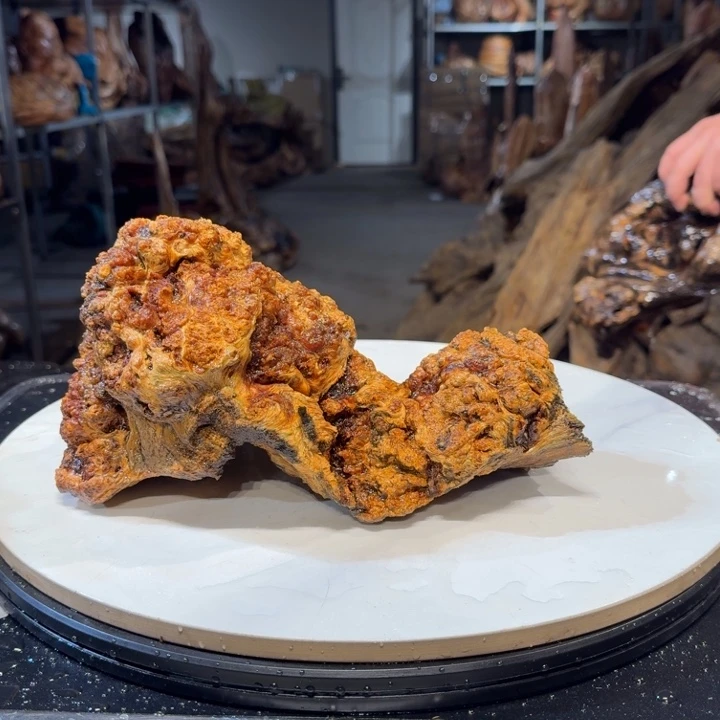 木爱****詹王一刀琥珀木23