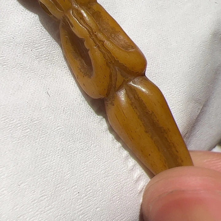 香榧木你是否也有
