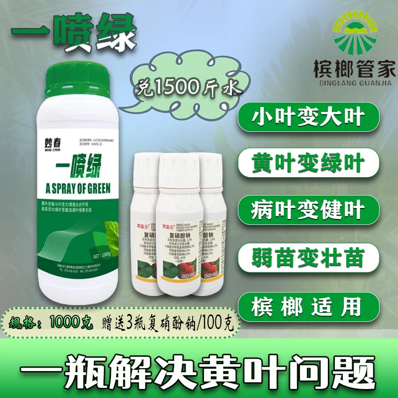 【槟榔管家改善黄叶专用一喷绿叶面肥】解决黄化黄叶叶片高级叶面肥