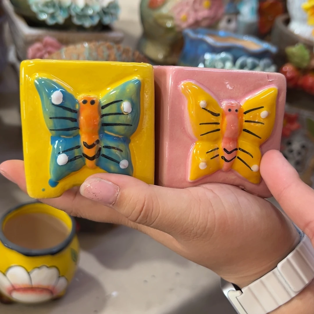 花盆，拍满20发货，退款拉黑