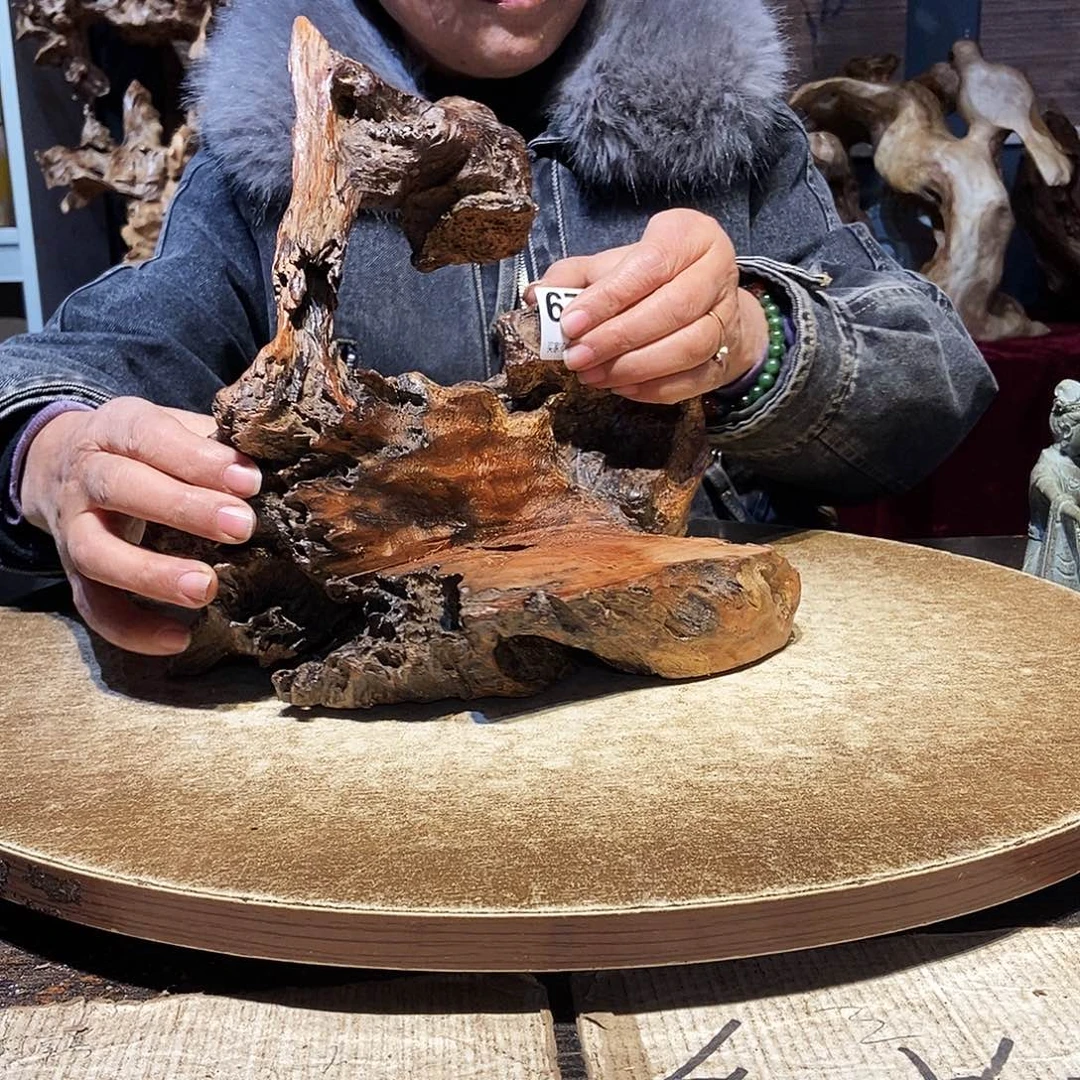 浩***海678。株木随行根艺