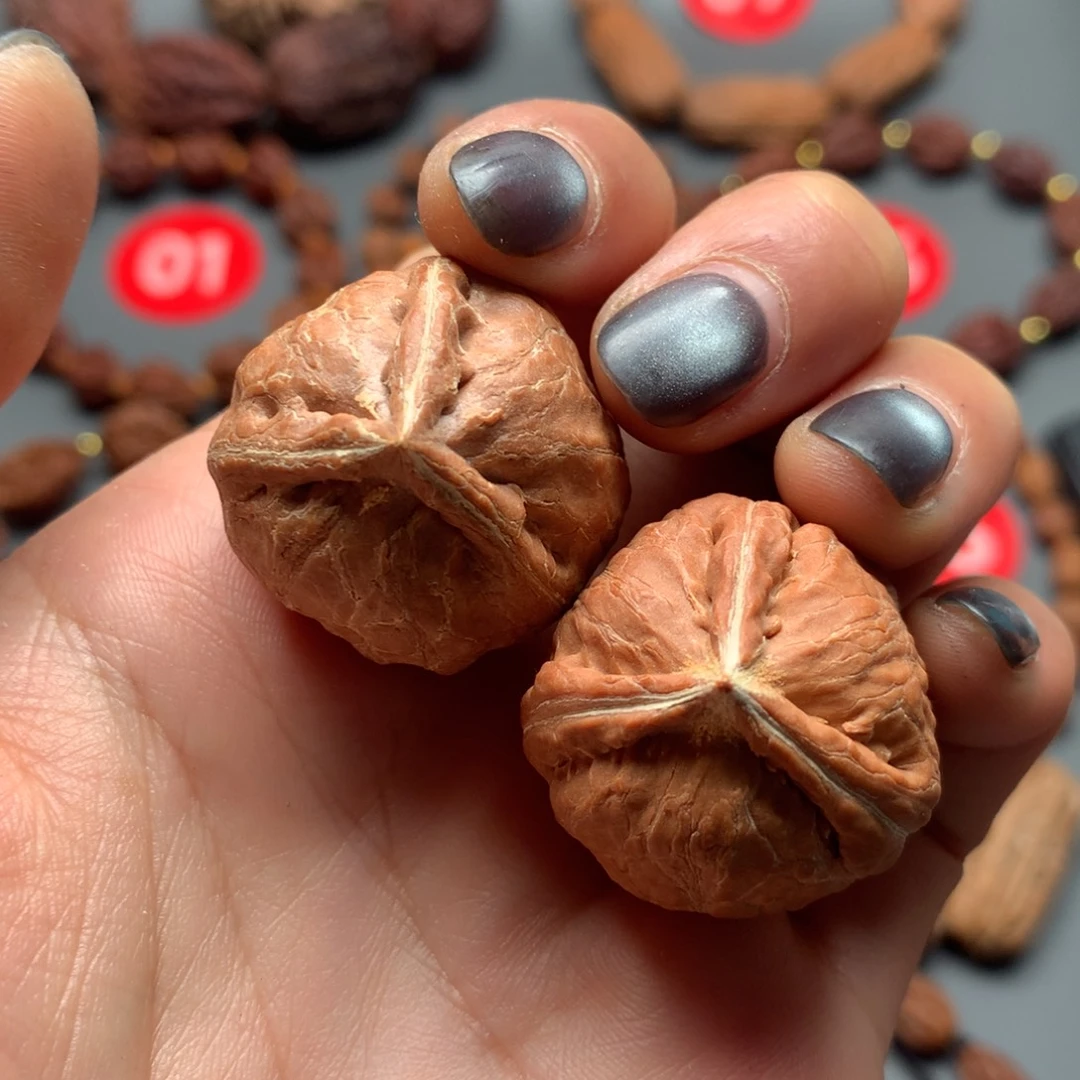 核桃45东北秋子三棱