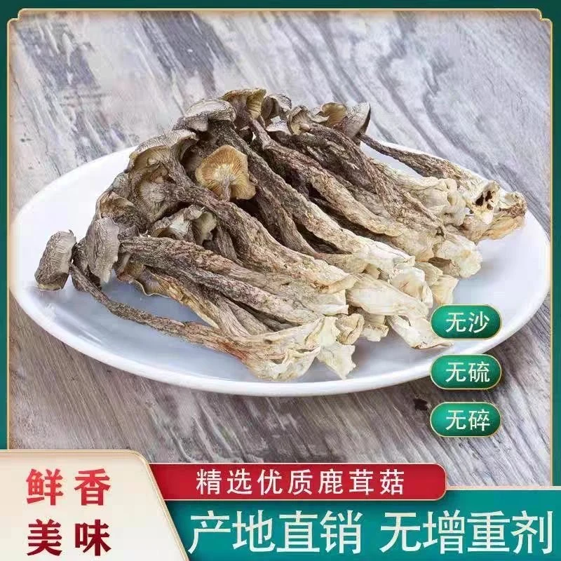 正宗鹿茸菇特价新鲜鹿耳菇煲汤烩菜涮火锅商用农家好食材净重整箱