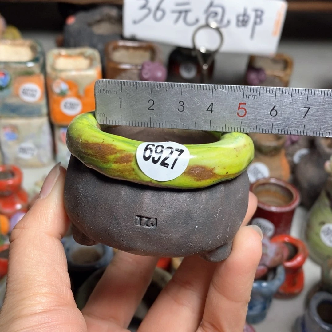 花盆拍3送一个小礼物