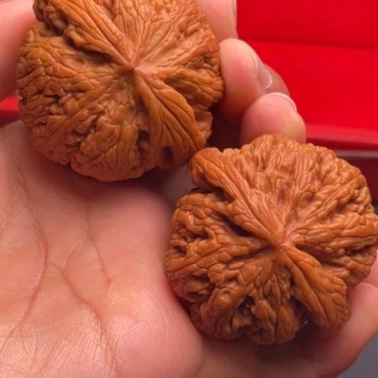 文玩核桃把件秦岭山脉核桃