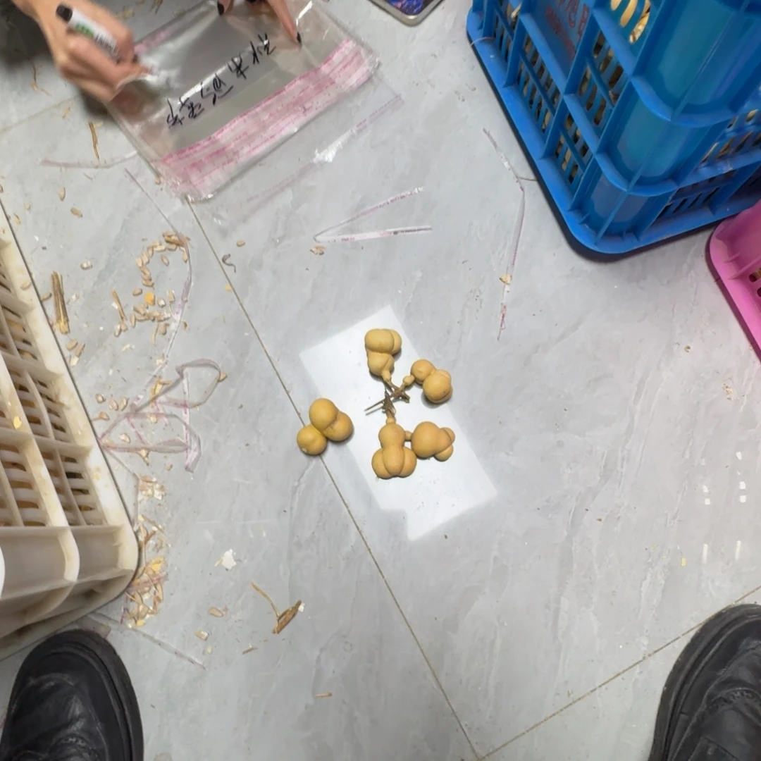 秋***节葫芦11111111111111