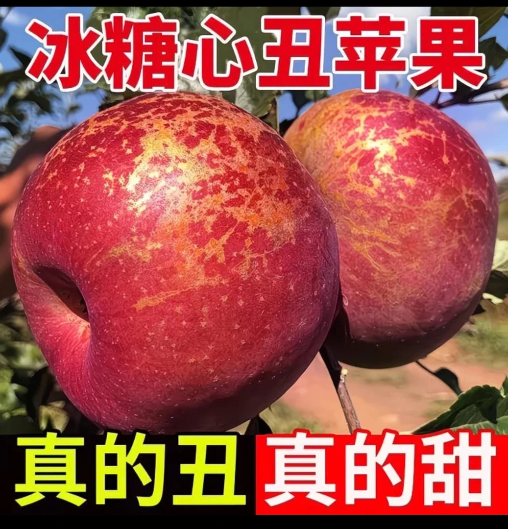 云南昭通冰糖心丑苹果红富士当季新鲜现摘脆甜多汁产地直发