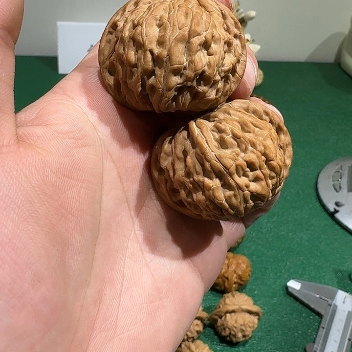 把件文玩核桃闪7，山地磨，44尺