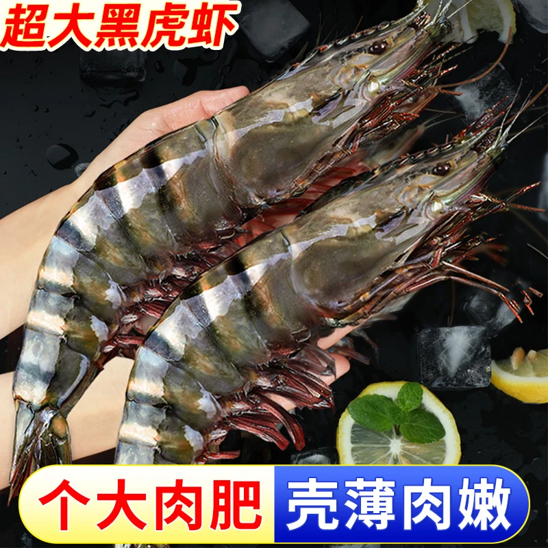 【老蔫专属】21/25规黑虎虾 新鲜营养海捕黑虎虾3斤