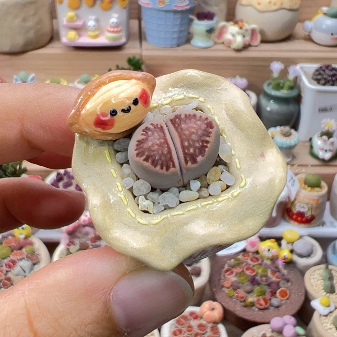 多肉植物108号拇指盆