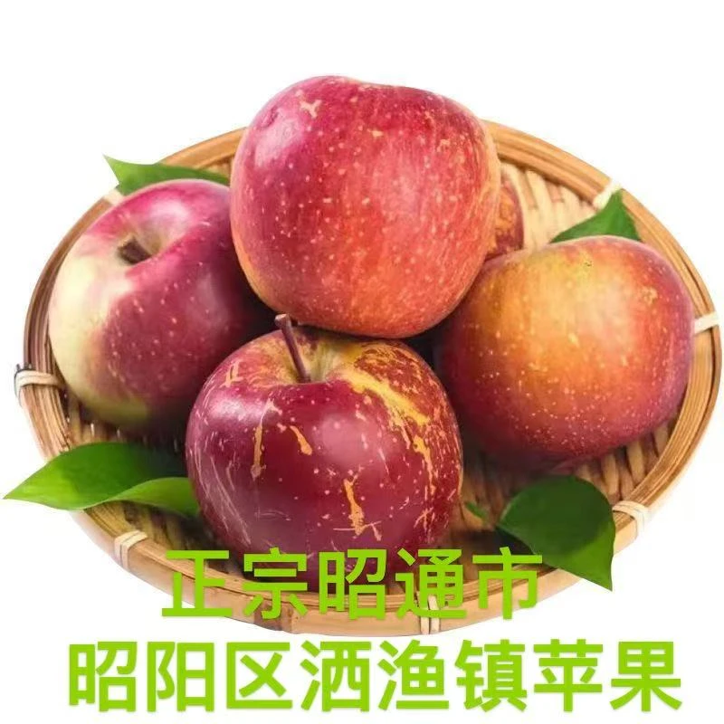 乐享正宗云南昭通富士丑苹果现采现发