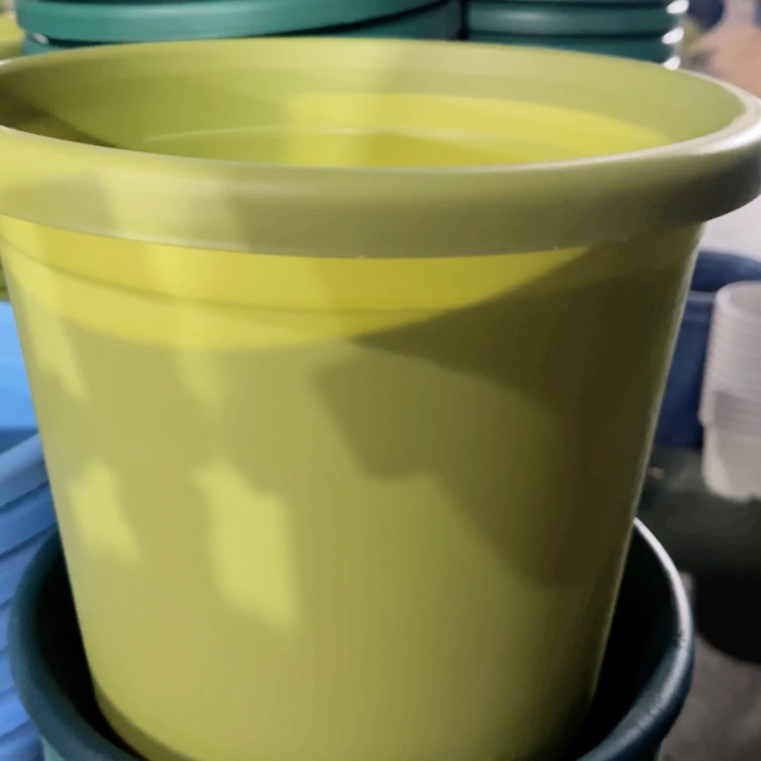 树脂特价5#无拖果绿6个