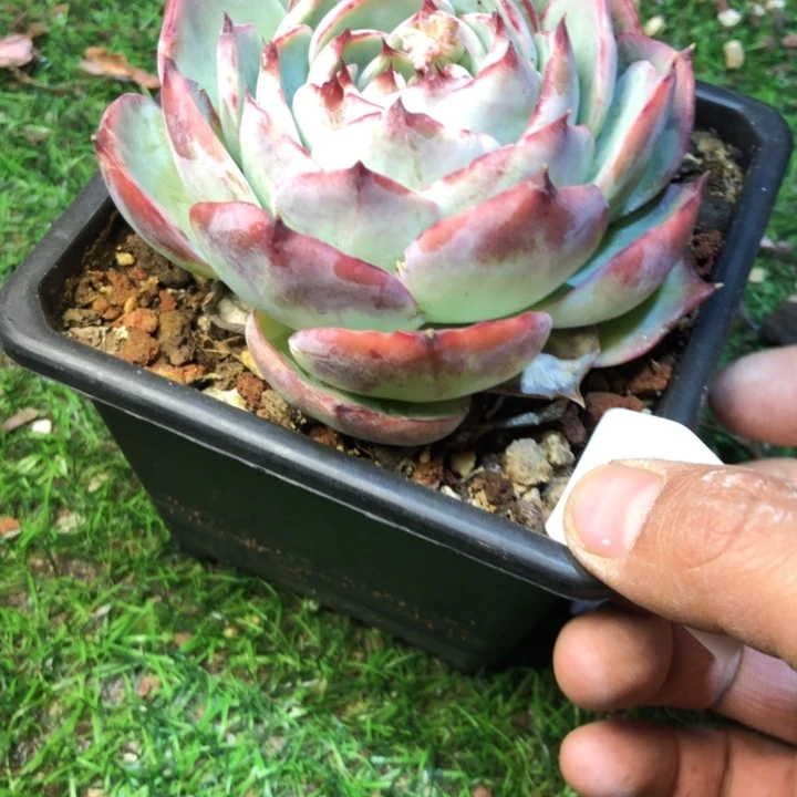 d****677/////////////////