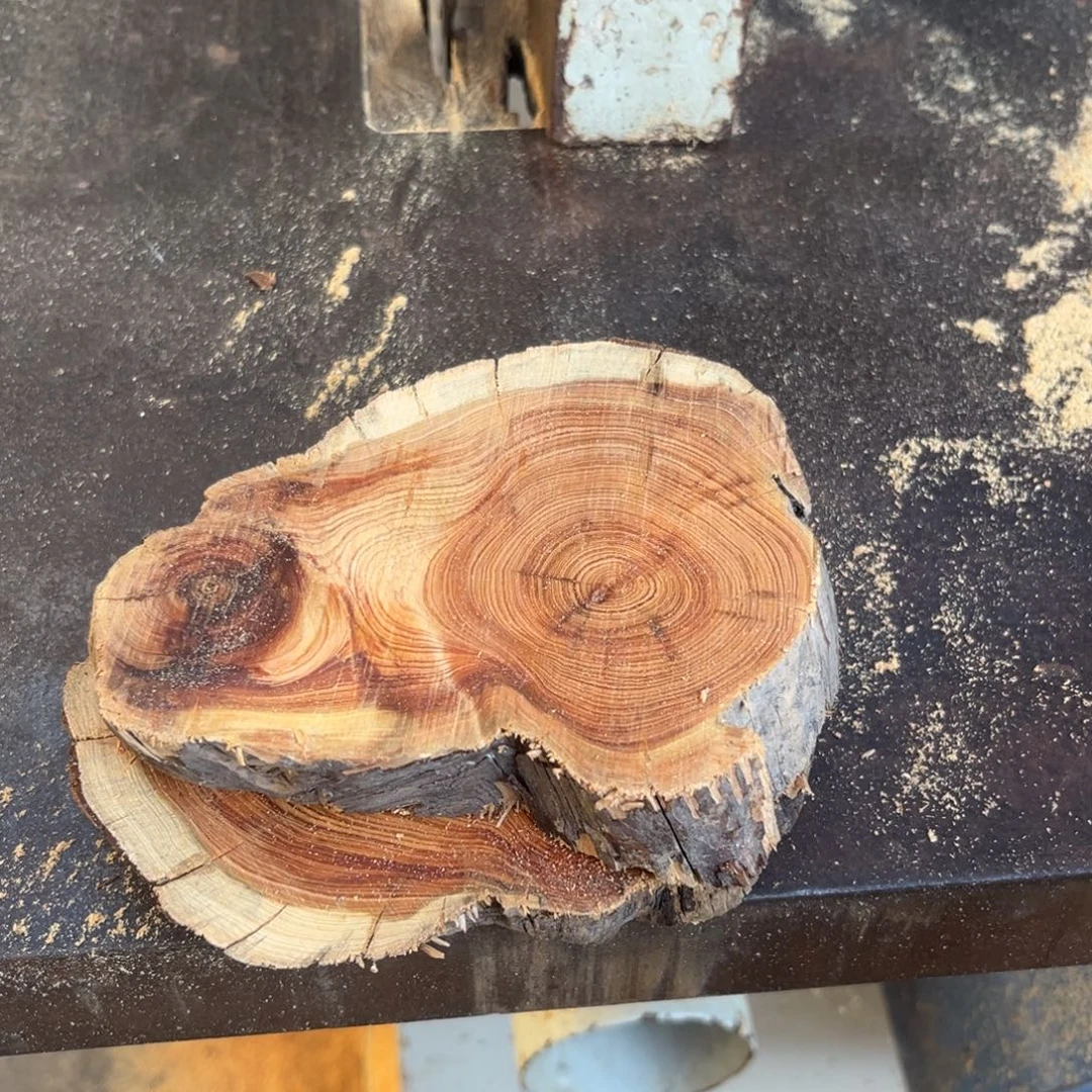 柏木（崖柏）南太行崖柏切片小