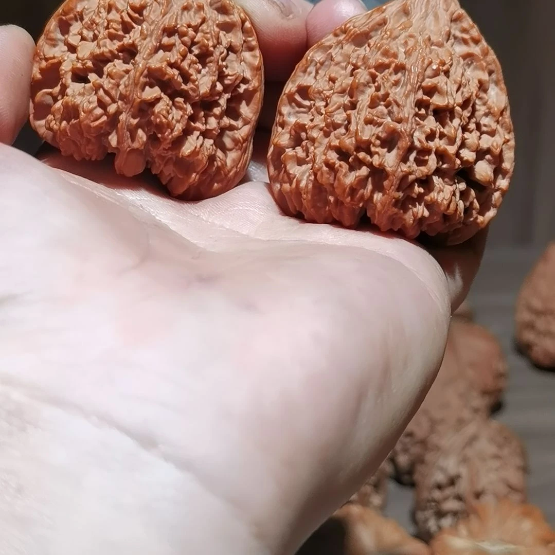 酷***：满天星核桃   文玩核桃