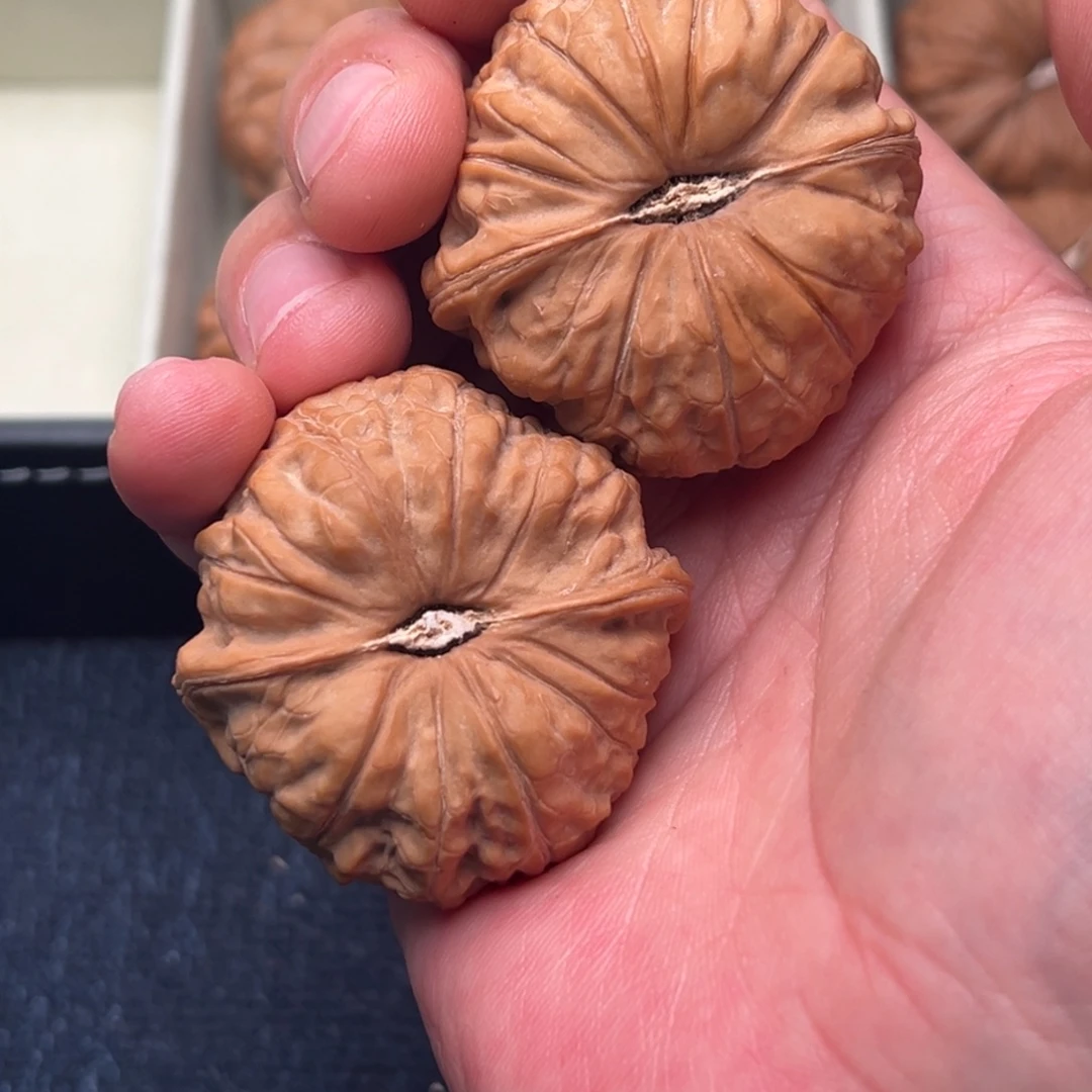 麦***门260南瓜墩 文玩核桃 44麦门
