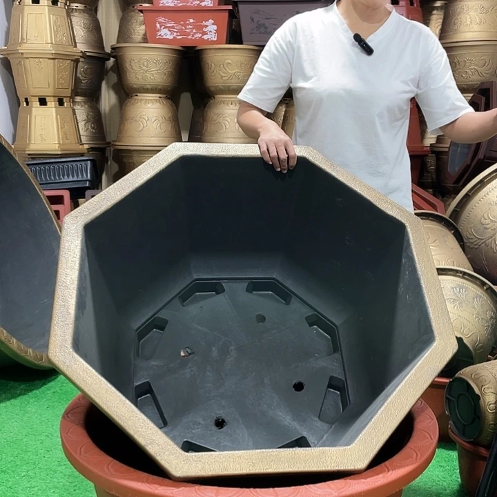 八角古铜八零一个