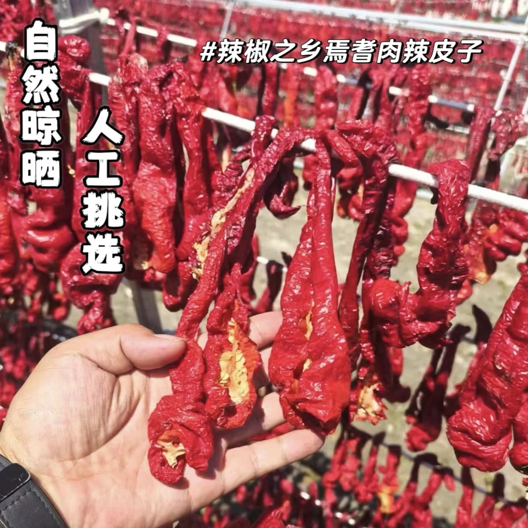 新疆焉耆辣皮子2025年8月产自然晾晒皮薄肉厚香而不辣调料干辣椒