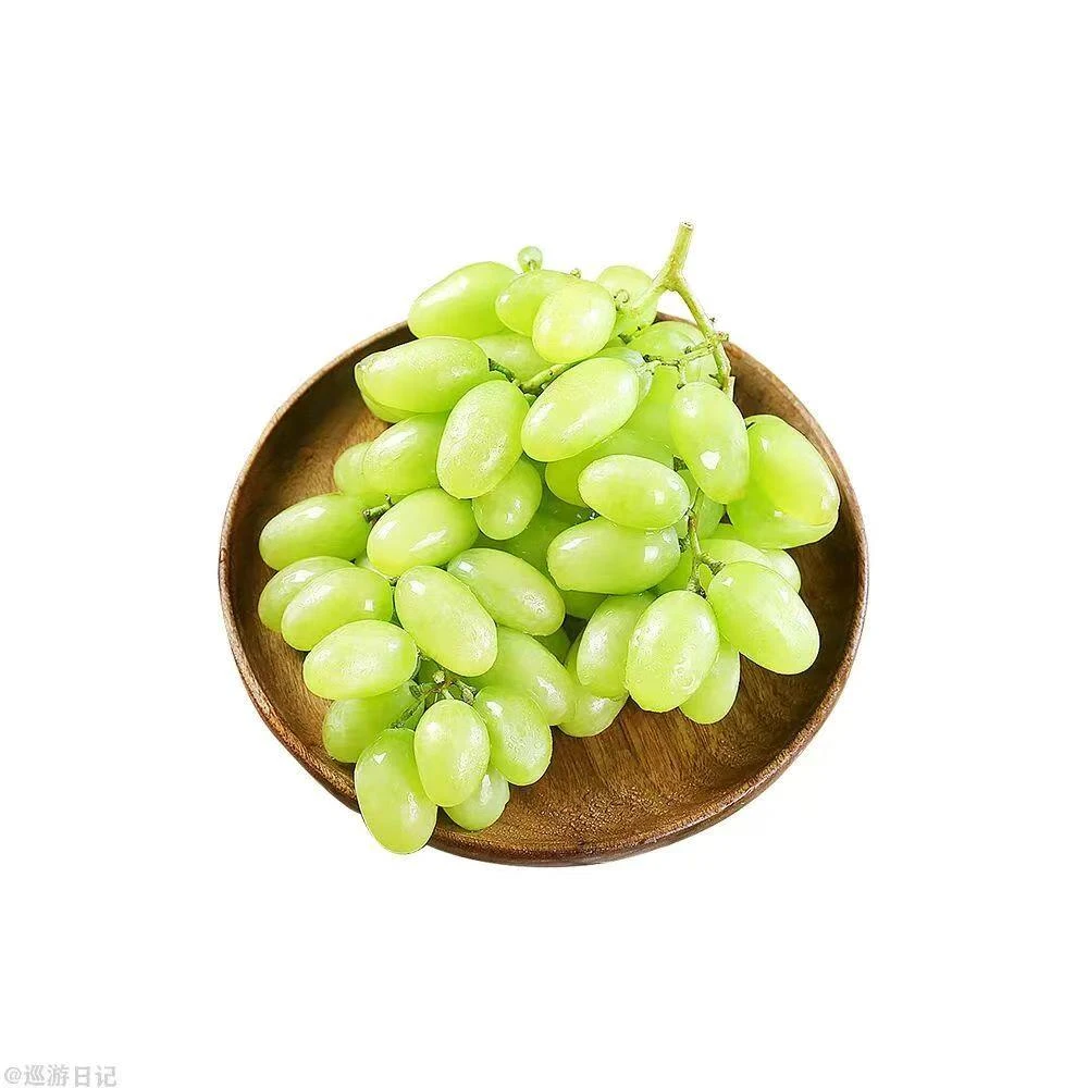 新疆本地无核白2kg无籽葡萄新鲜应季水果酸甜马奶葡萄青提子次日达新疆维吾尔自治区