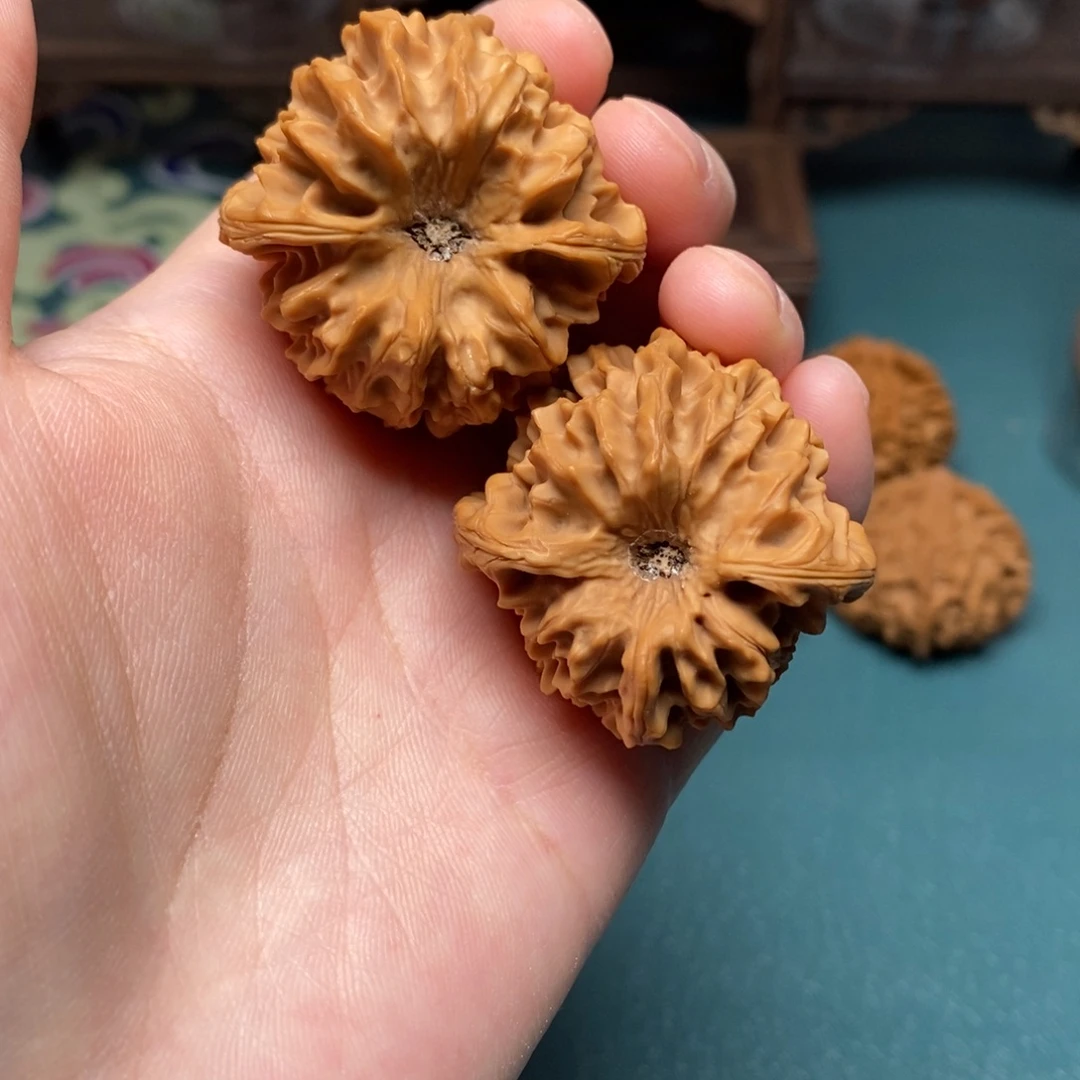 核桃38尺龙门涧修