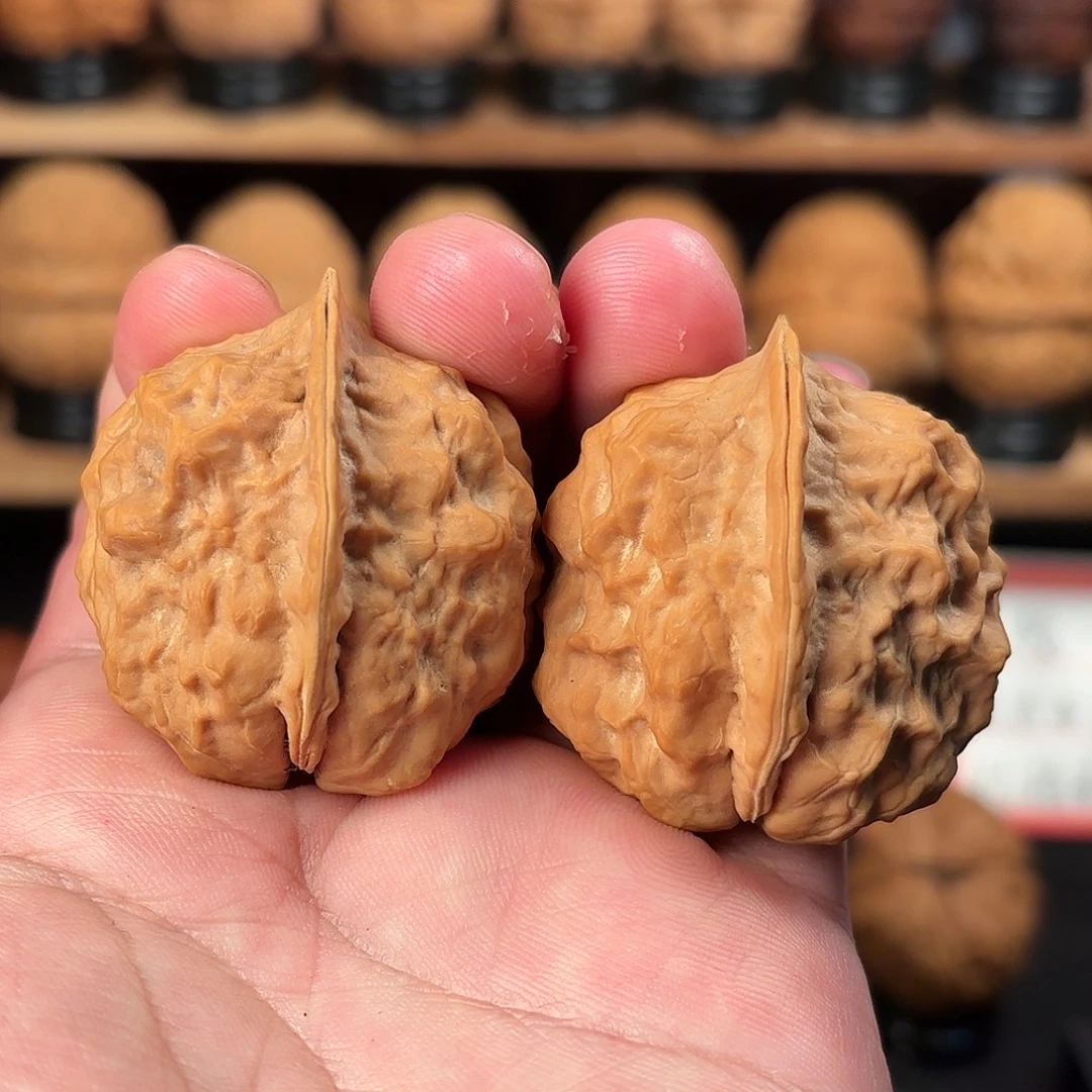 文玩核桃吊坠甲壳虫