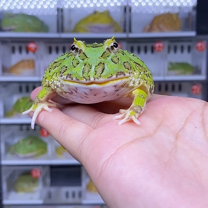特价秒杀现货特价