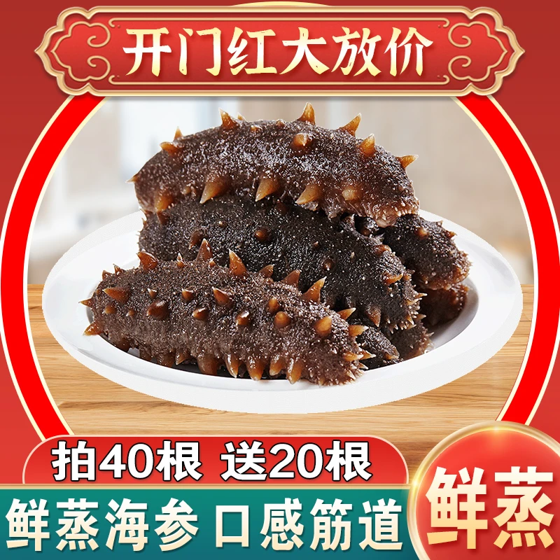 【只赚人心】1号一半鲜蒸即食海参  辽品质辽刺参顺丰包邮