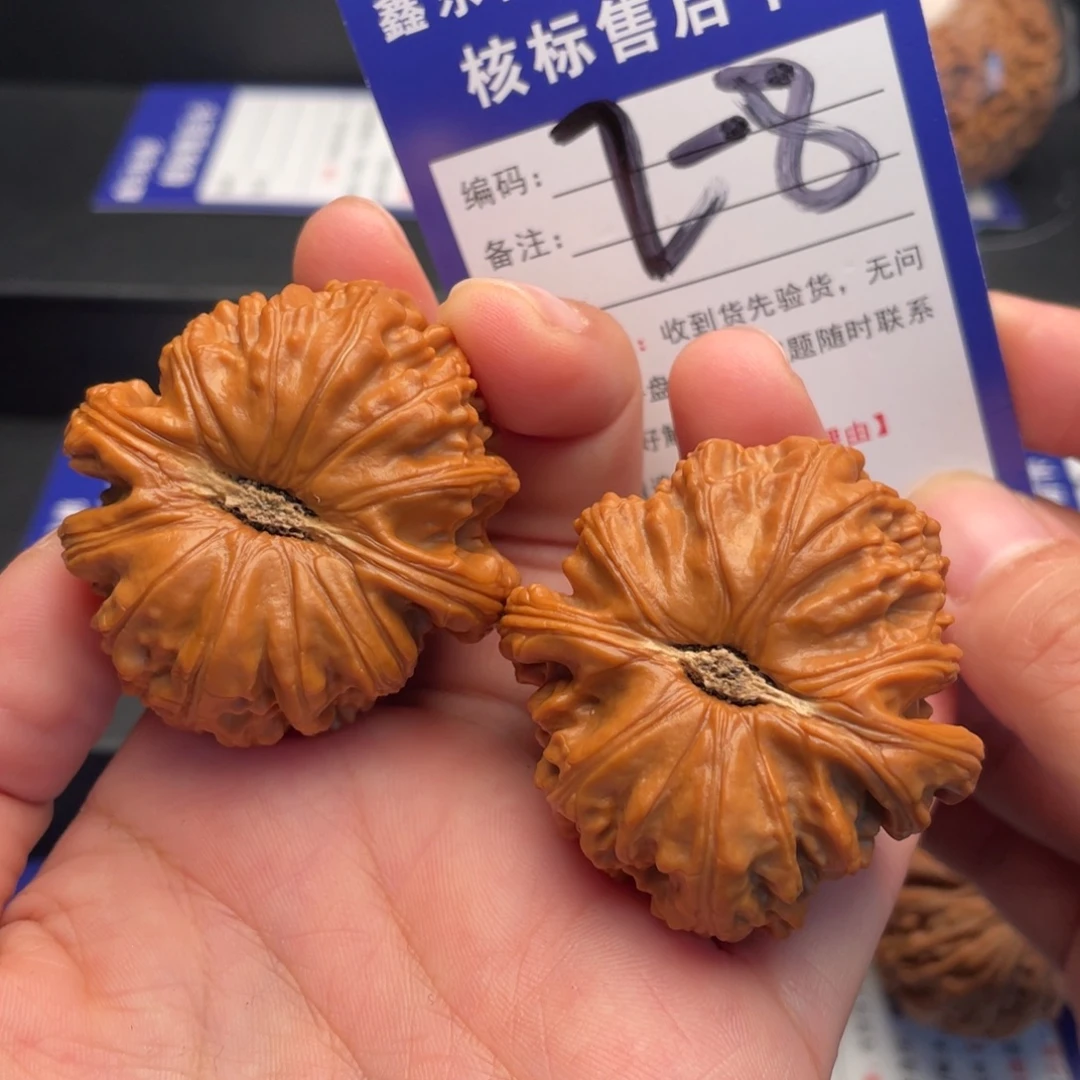 文玩核桃把件白狮子43尺
