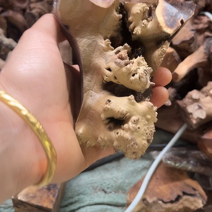 香榧木发信息吧你在哪呢