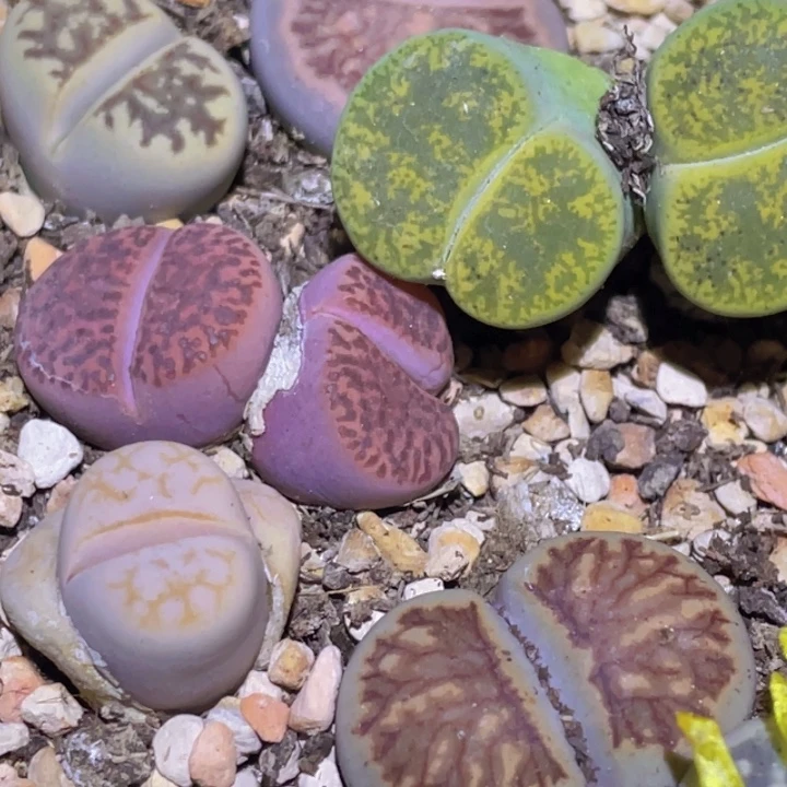 588888888888888888888888