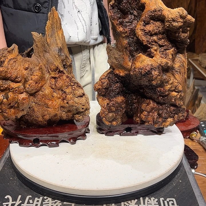 松木（琥珀木）瑞***^