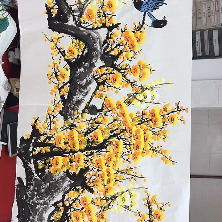 横款开播时间播出地点