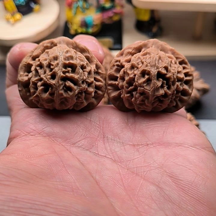 核桃不打药老款宫灯41尺