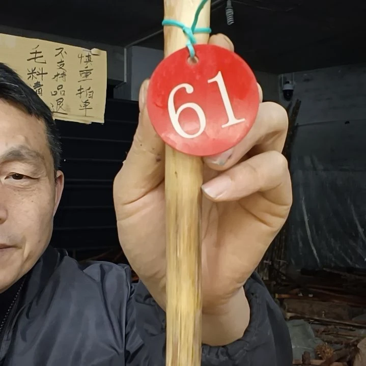 稳定木笑****7贵州檬子木   铁马鞭   根艺  半成品