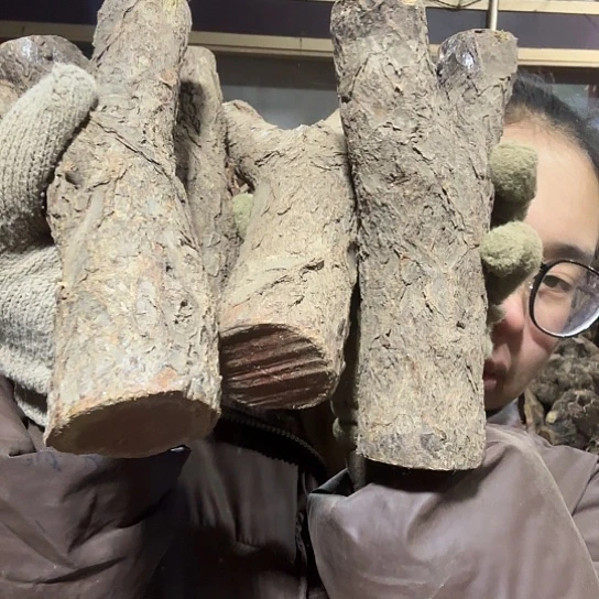 香榧木温***犯火琉璃的毛料摆件